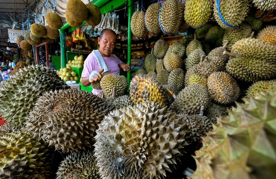 Durian fruit in a Davao market